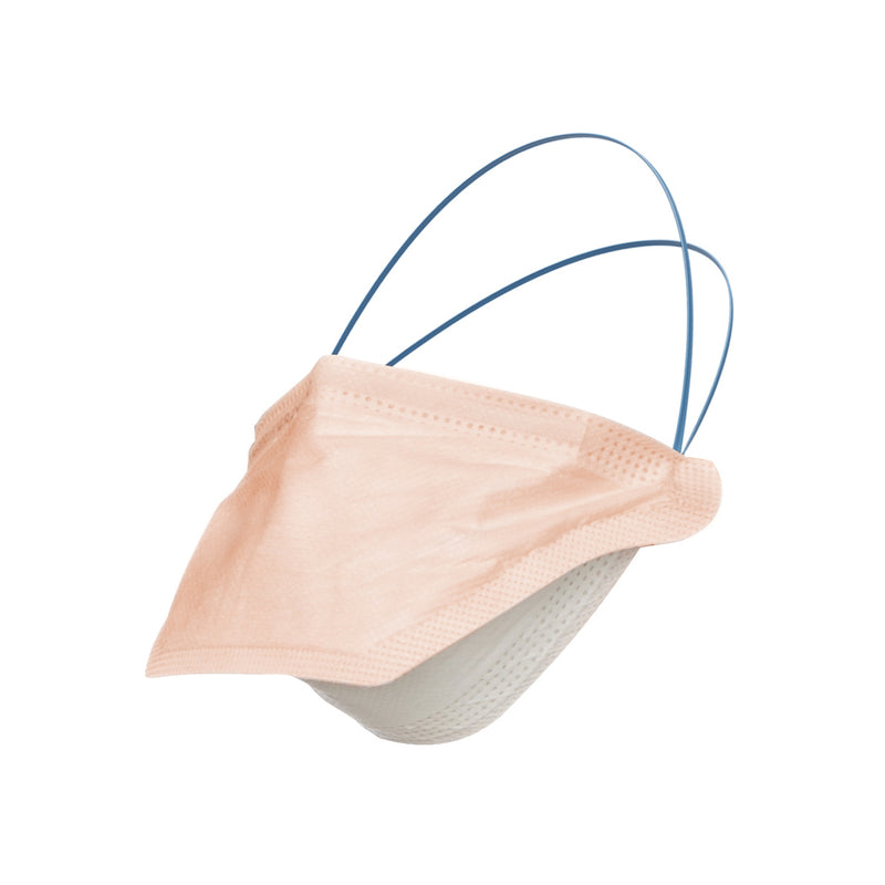 N95 Particulate Respirator And Surgical Mask